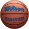 Wilson Evolution Game Basketball