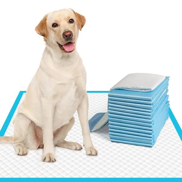 IMMCUTE Dog Pee Pads and Puppy Training Pads Super Absorbent & Heavy Duty Potty Pads For Dogs and Pet Pads (Large 28"X30", 50 Count)