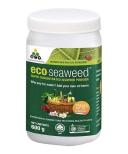 OCP Eco-Seaweed 100g