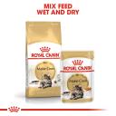 Royal Canin Persian Wet Cat Food - 85g