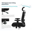 Sihoo Ergonomic Office Chair, Computer Desk Chair, 3D Adjustable High-Back, Breathable Skin-friendly Mesh With Armrest, Lumbar Support (Black) Chair