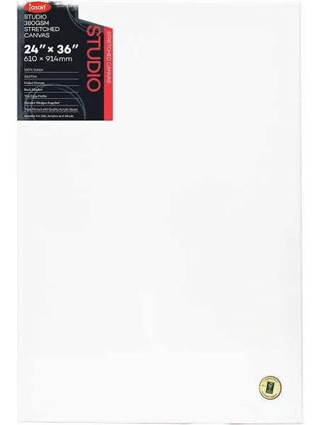 Jasart Studio Thin Edge Stretched Canvas FSC Mix 36x24in