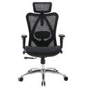 Sihoo M57 Ergonomic Office Chair, Computer Chair Desk Chair High Back Chair Breathable,3D Armrest and Lumbar Support