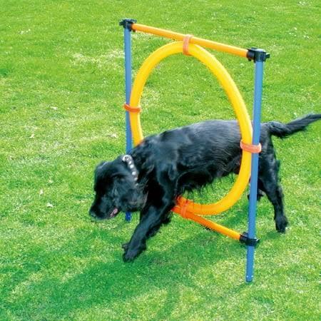 Pawise Agility Ring Dog Toy