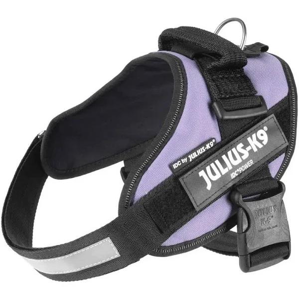 Julius-K9 IDC Powerharness, Purple / Size 0