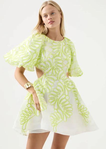 AJE Botanical Applique Mini Dress | Print/Green | Size 6 | Shopbop