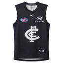 Carlton Football Club 2024 Replica Home Guernsey - Youth 8-16 Years in Dark Navy/White/Cfc, Size XS by Puma