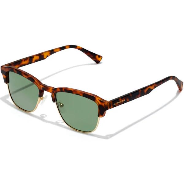 New Classic - Polarized Alligator