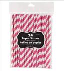 Paper Straws 24 Pack - Kiwi Green