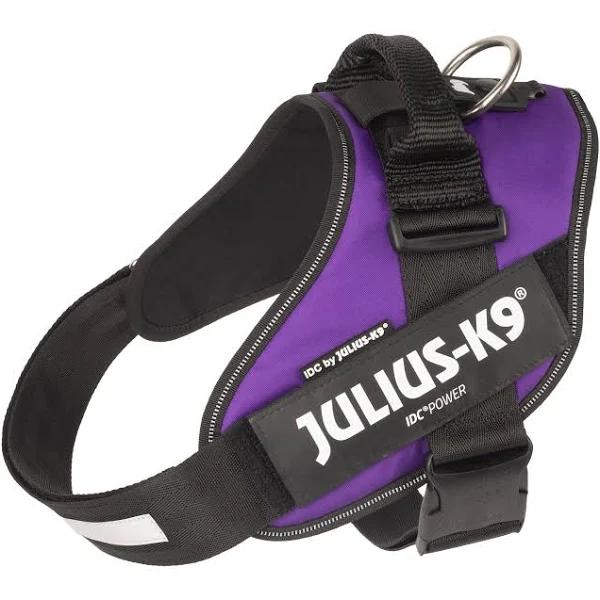 Julius K9 Harness 1 / Purple