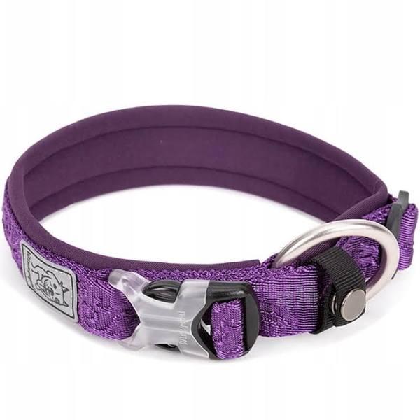 Whinhyepet Collar Purple - XL