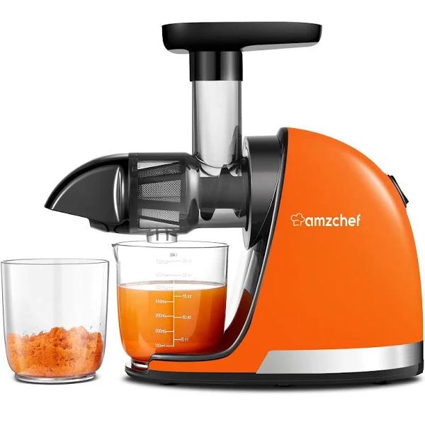 AMZCHEF Cold Press Juicer: Whole Fruit Masticating - Grey