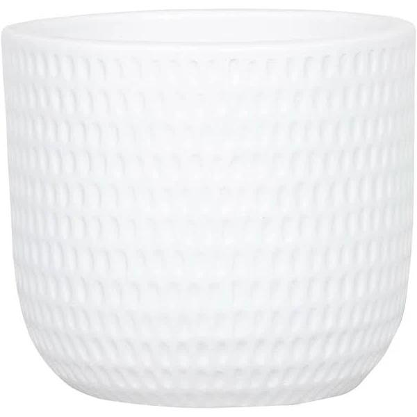 Lotus 250 x 250mm Dotty White Round Ceramic Pot