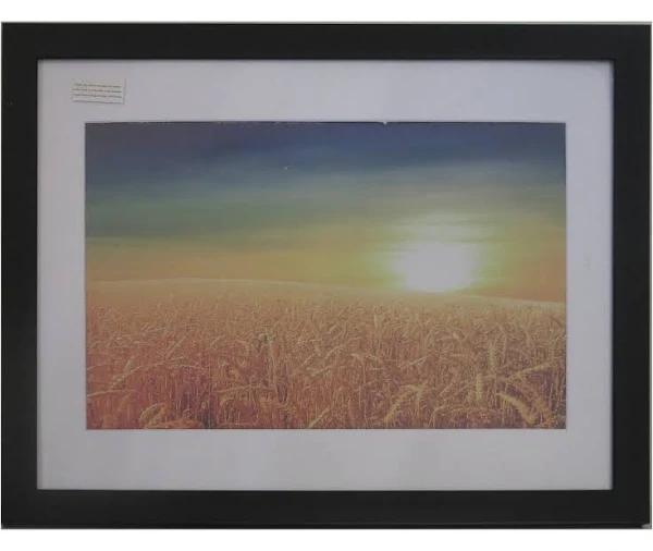 Homeworth Photo Frames Certificate Frames Series White / Black / Timber 12x18" / Black