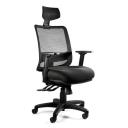 Desky Ace Ergonomic Chair