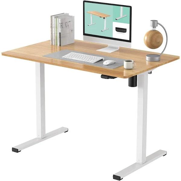 FLEXISPOT Standing Desk 48 x 24 Inches Height Adjustable Desk Whole-Piece Desktop Electric Stand Up Desk Home Office Table For Computer Laptop