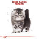 Royal Canin Dry Cat Food Persian Kitten 400g