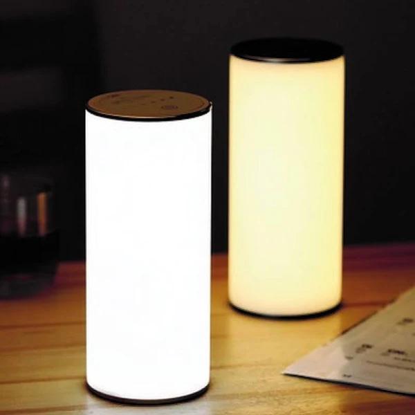 Rechargeable Light - Gravity Lamp