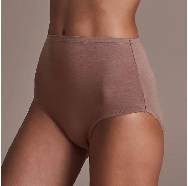 Target Woman 2 Pack Full Briefs; Style LFB12988 | Brown | Size 20