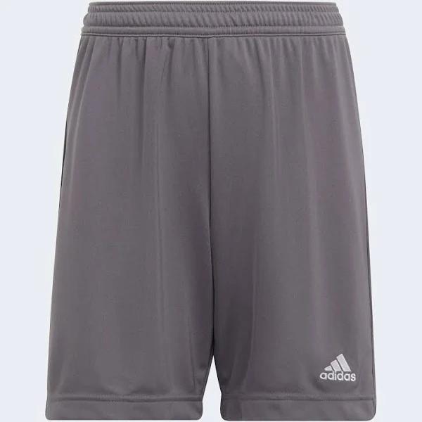 Adidas Entrada 22 Shorts