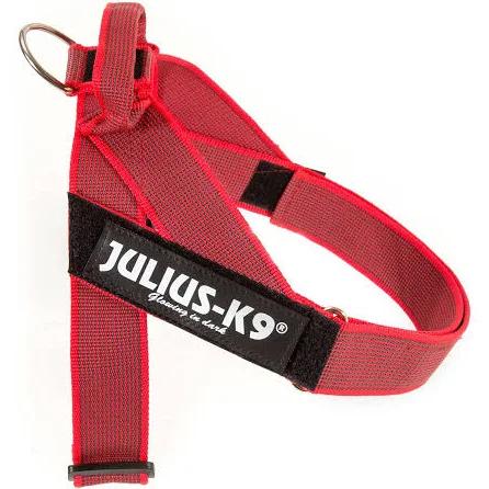 Julius-K9, IDC Color & Gray Belt Harness, Size: M / 0, Red-Gray