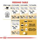 Royal Canin Dry Cat Food Persian Kitten 400g