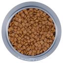 Royal Canin Kitten Dry Food - 2kg