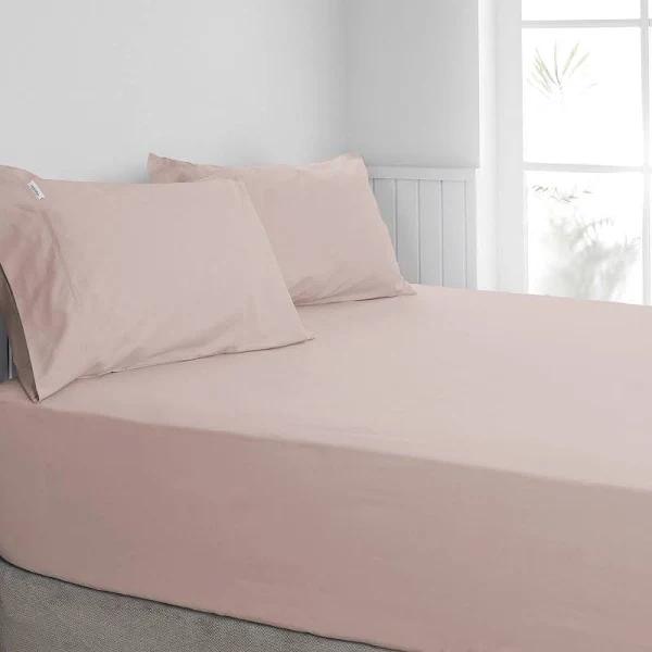 Algodon 300TC Cotton Fitted Combo Sheet Set Blush / King