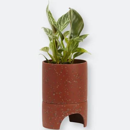 Archie Pots Terracotta Terrazzo