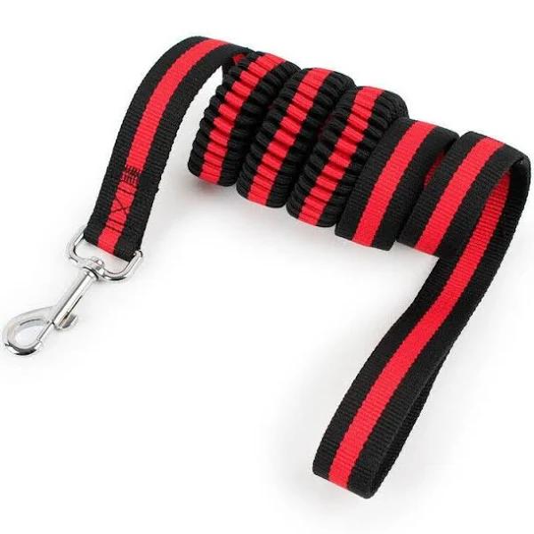 1.2m Strong Nylon Pet Dog Lead Leash Cat Training Collar