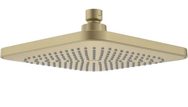 Caroma Luna Overhead Shower Head - Brushed Brass