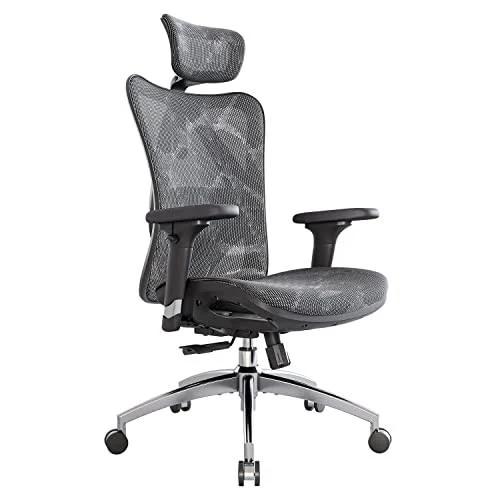 Sihoo M57 Ergonomic Office Chair, Computer Chair Desk Chair High Back Chair Breathable,3D Armrest and Lumbar Support