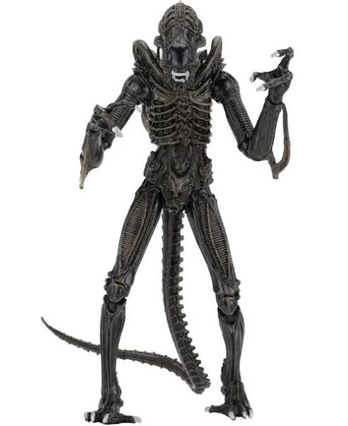 Aliens - Brown Alien Warrior Ultimate 7" Scale Action Figure | NECA