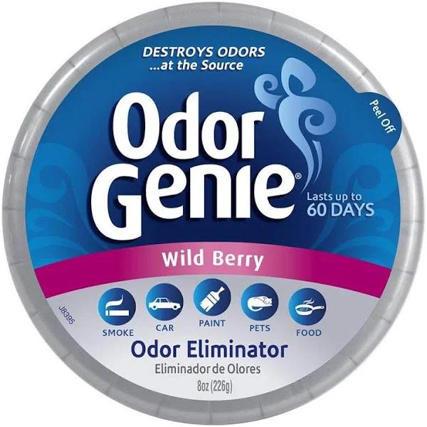 DampRid Fg69h Odour Genie Odour Eliminator in Wild Berry, 240ml