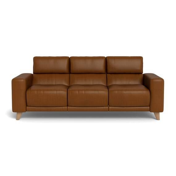 Sterling Leather Battery Recliner Sofa Brandy by Freedom