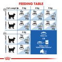 Royal Canin Cat Food Indoor (2 kg)