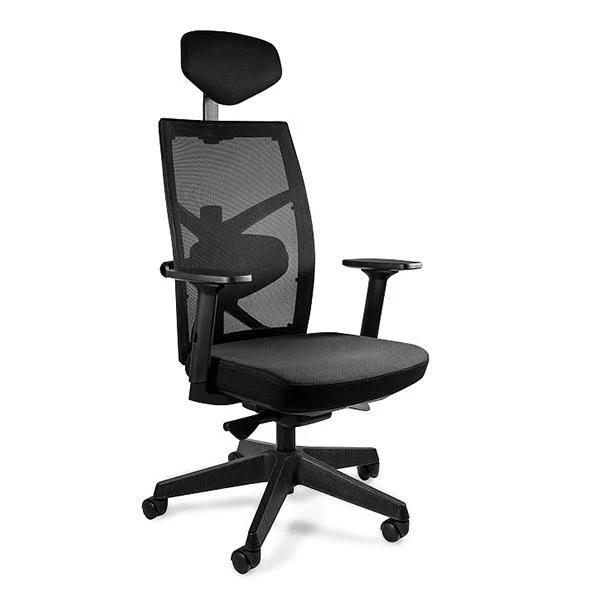 Desky Elite Ergonomic Chair with Headrest