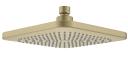 Caroma Luna Overhead Shower Head - Brushed Brass