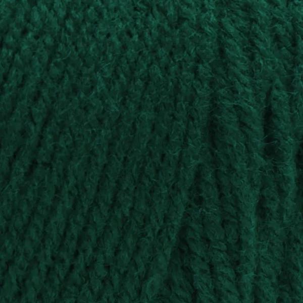 Red Heart Super Saver Yarn - Paddy Green - 198g