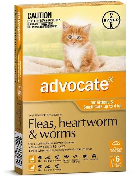 Advocate Cat Small Orange