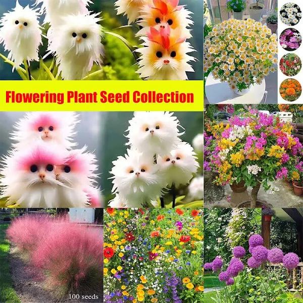 Garden Treasures Fresh Flower Plant Seeds Grow Your Own Indoor Outdoor