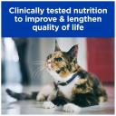 Hill's Prescription Diet k/d Kidney Care Chicken Wet Cat Food - 85g