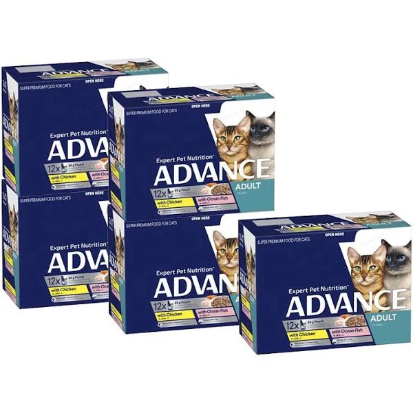 60 x 85gm Ocean Fish Jelly Advance Adult Wet Cat Food by Budget Pet Products