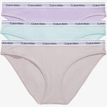 Modern Logo 3 Pack Bikini Briefs Purple L