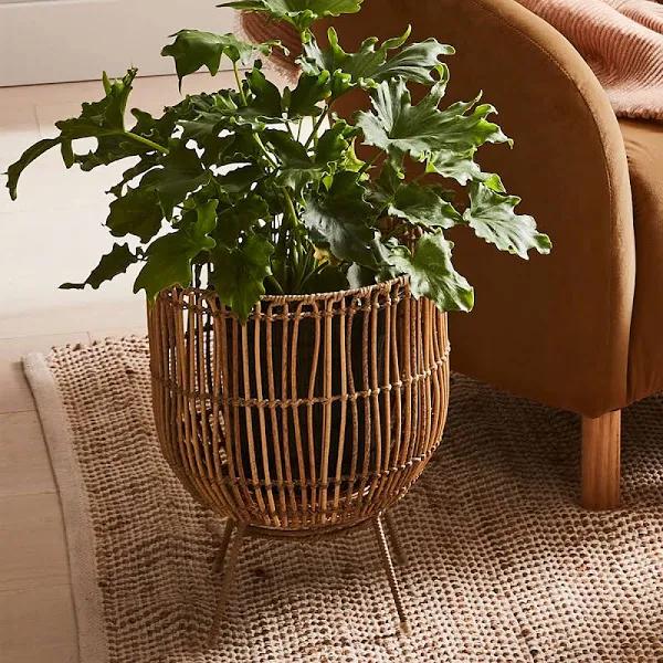 Kmart Rattan Look Pot Holder With Stand