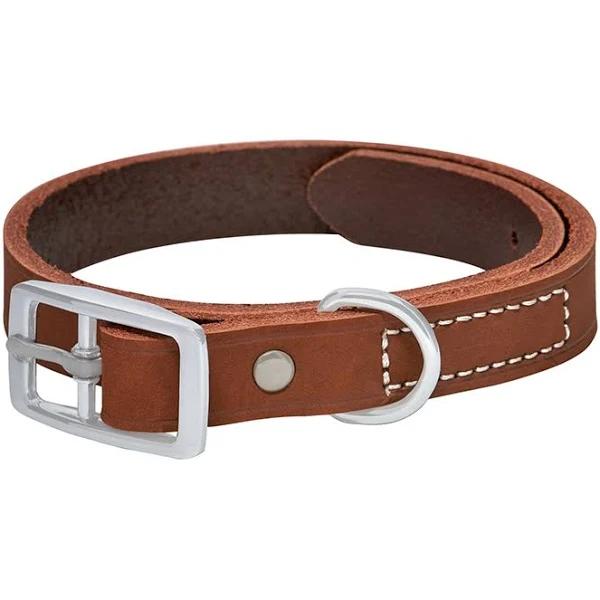 All Day Plain Leather Dog Collar Brown S