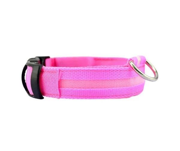 M Size USB Rechargeable LED Dog Collar Nylon Glow Flashing Light Up Safety