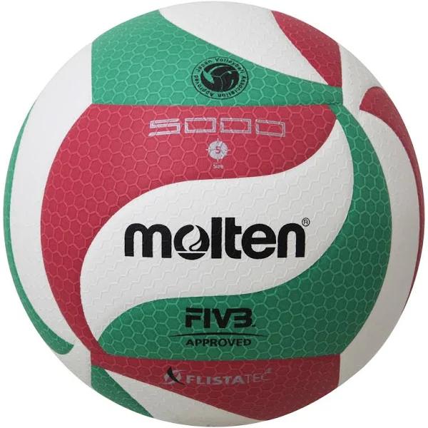 Molten Volleyball