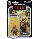 Star Wars - Return of The Jedi 40th Anniversary Black Series Wicket Action Figure