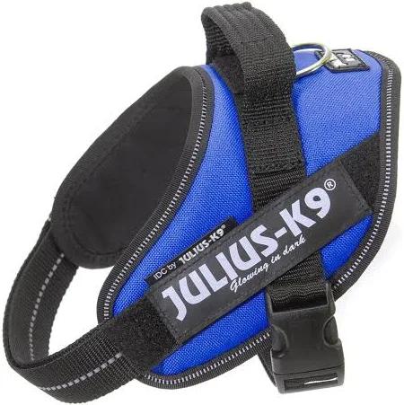 Julius K9 Harness Mini / Blue